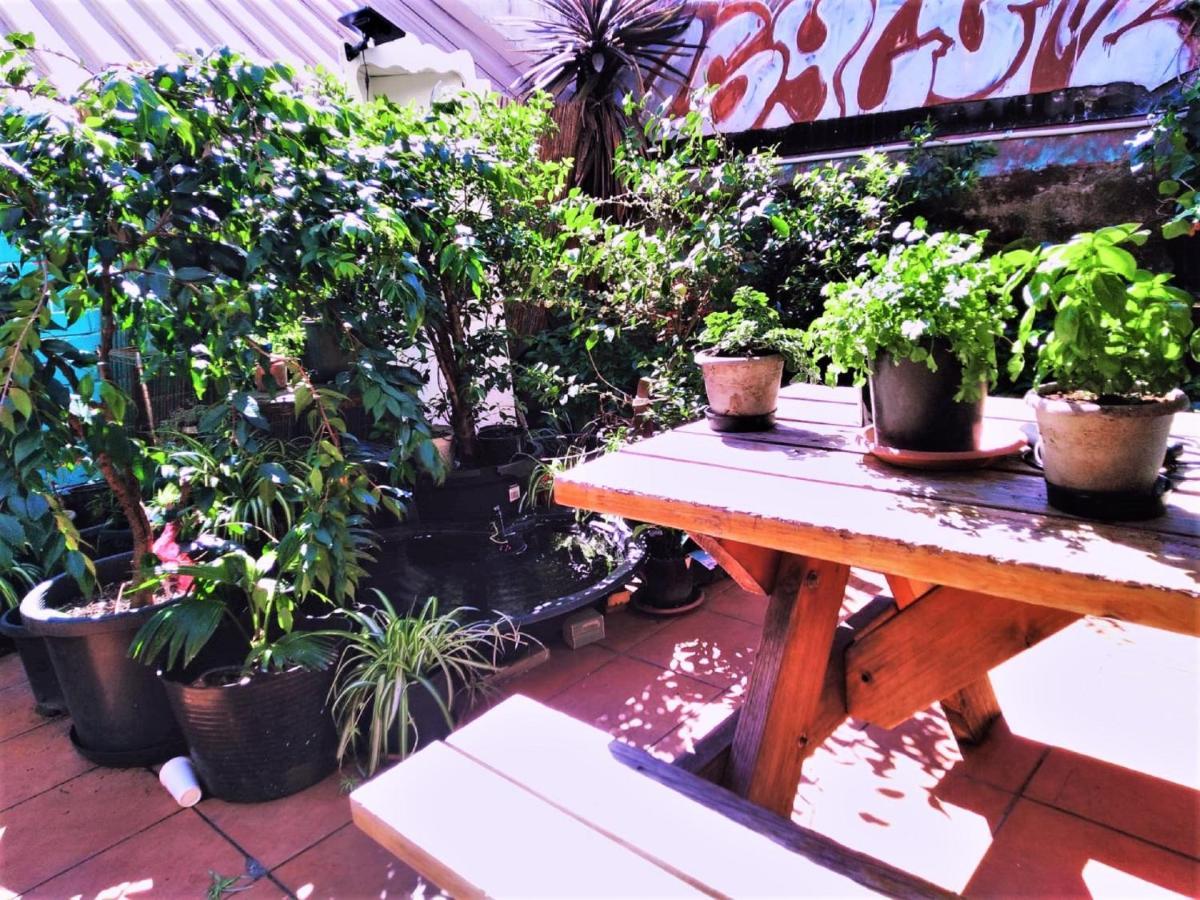 Asylum Sydney Backpackers Hostel Exteriér fotografie