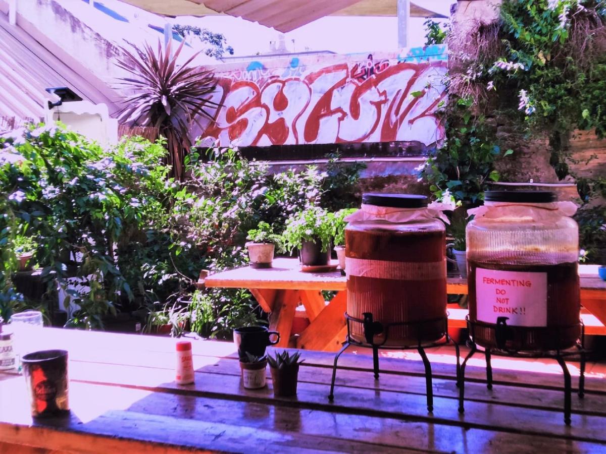 Asylum Sydney Backpackers Hostel Exteriér fotografie